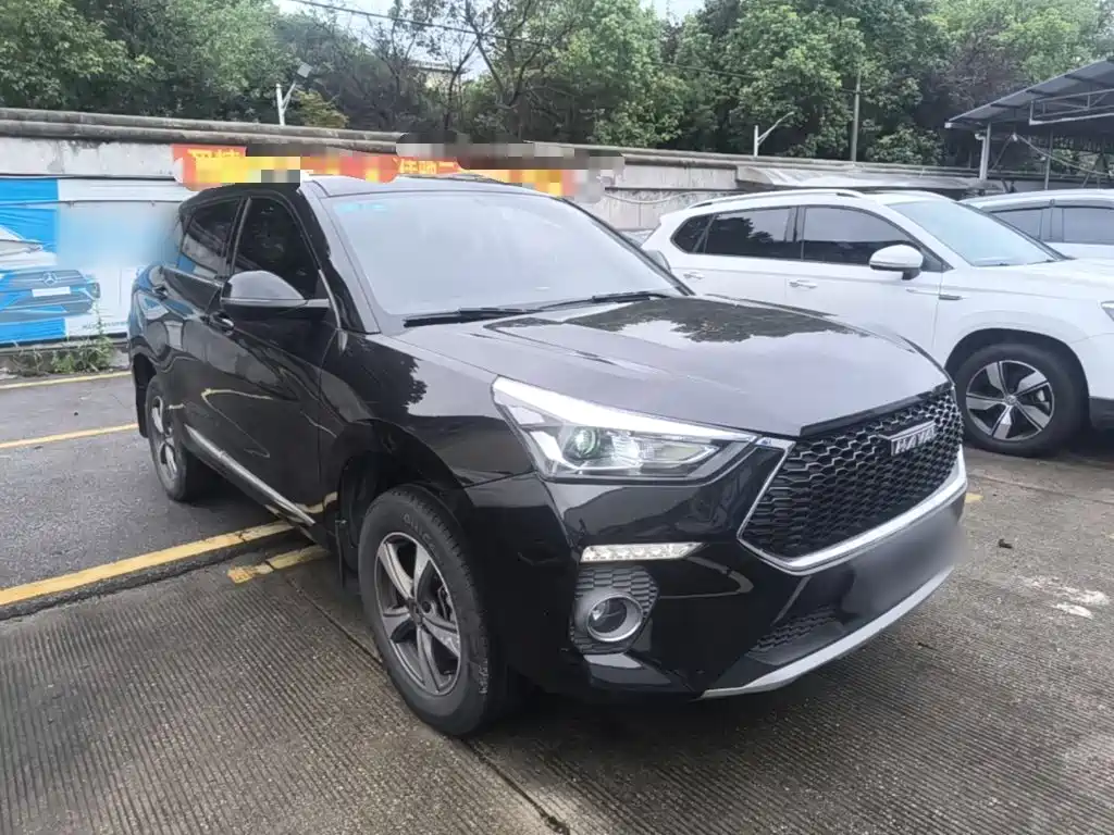 Haval H6 Coupe 2019 2018 Red Label 1.5T Auto 2WD Luxury Edition