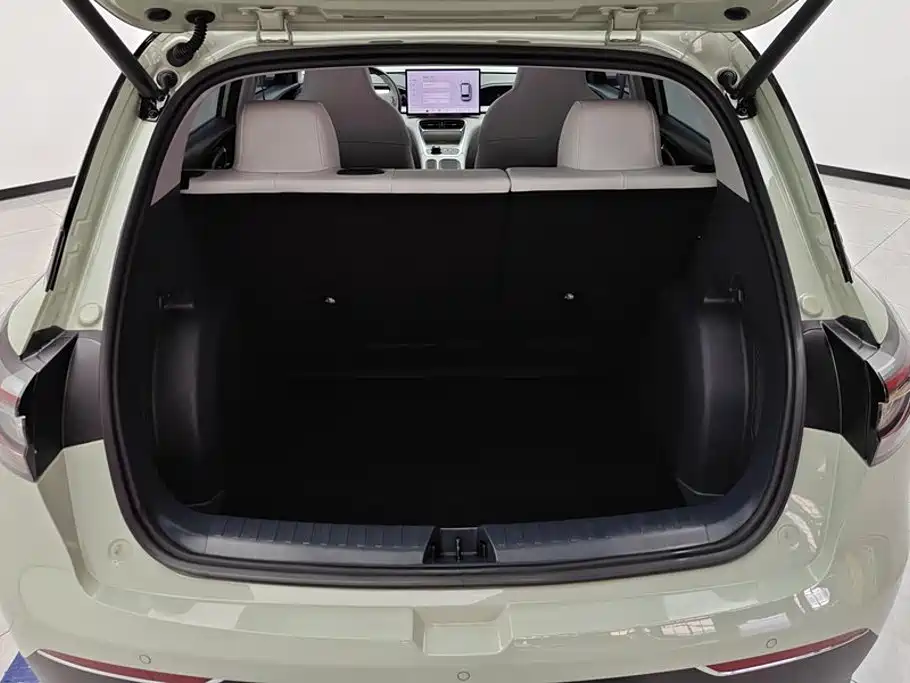 صورة 4 - Geely Galaxy Starry Wish