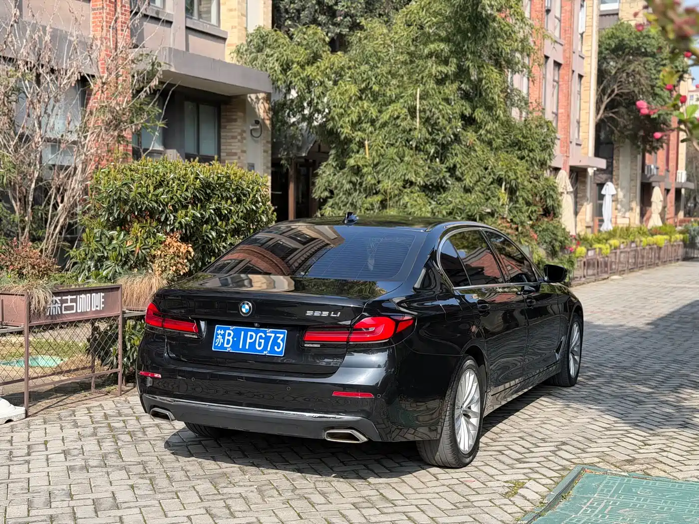 BMW 5 Series 2021 525Li Luxury Package фото 6
