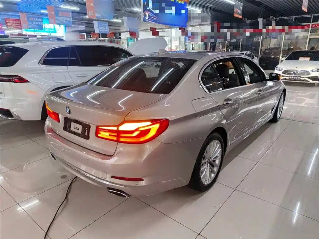 BMW 5 Series 2018 530Li Leading Luxury Package фото 7