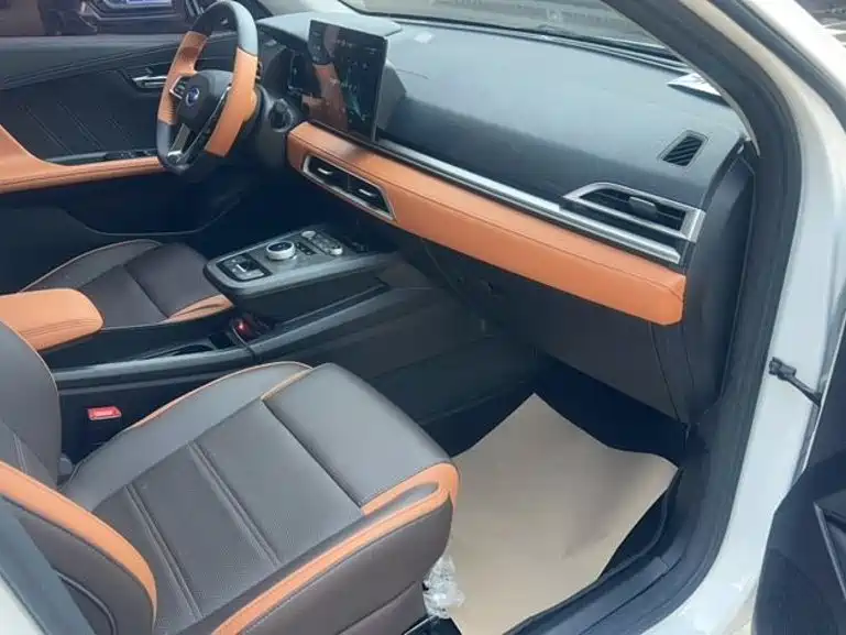 BYD e2 2020 2020 Upgraded Long Range Luxury