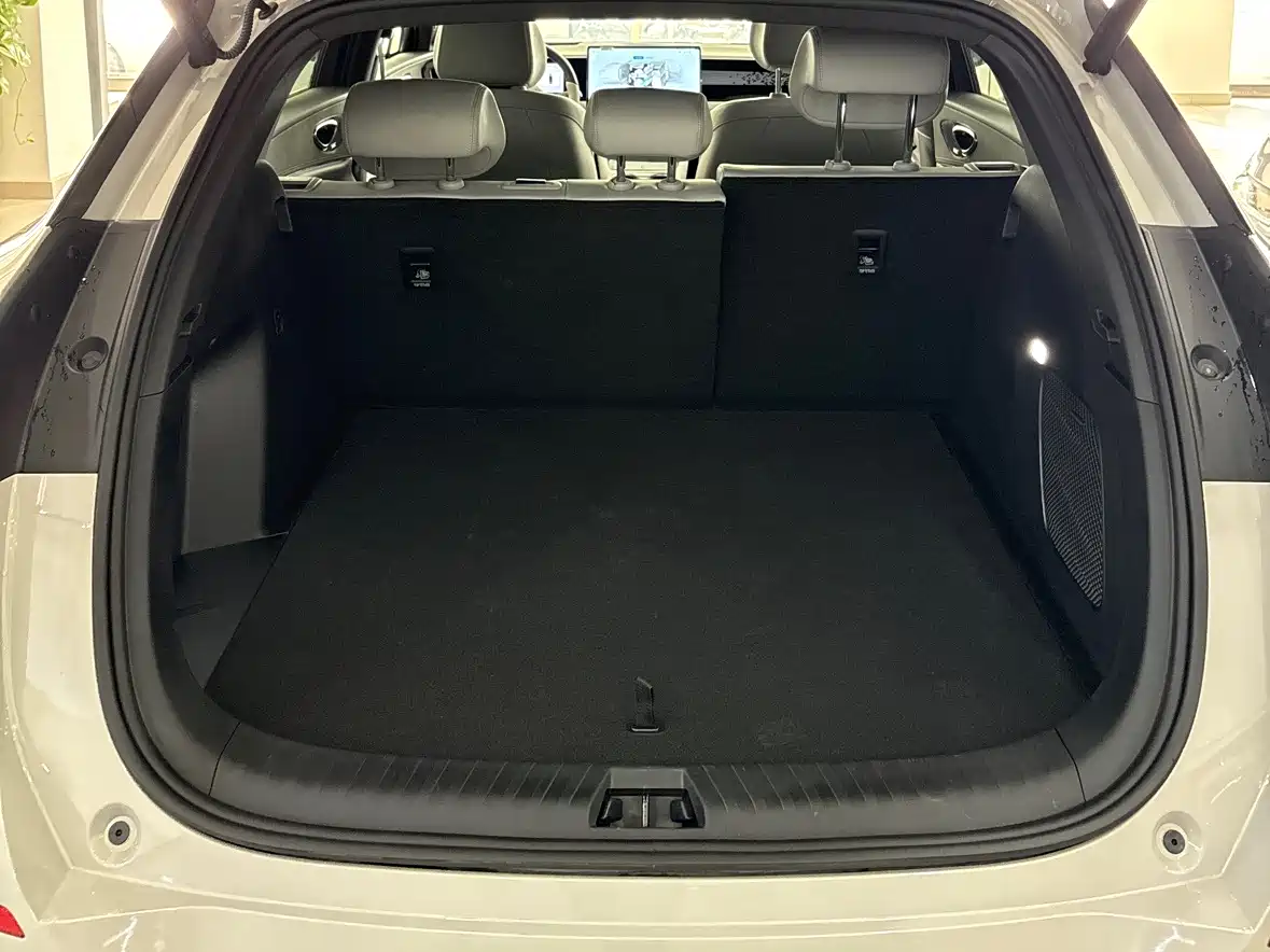 BYD SEA LION 06 NEW ENERGY