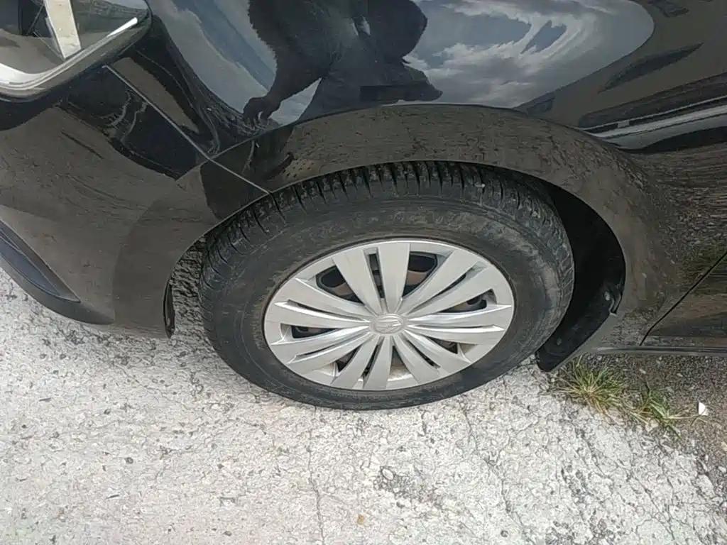Фото 23 - Volkswagen Santana