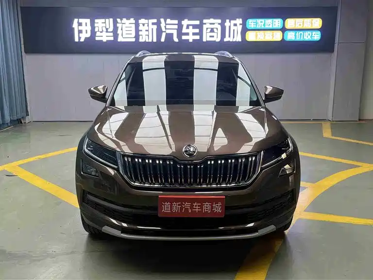 Škoda Kodiaq 2019 Facelift TSI330 5-Seater 2WD Luxury Premium Edition China VI фото 2