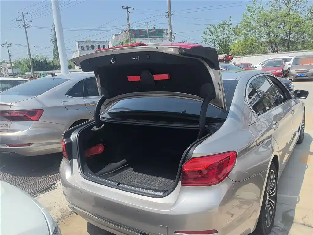 BMW 5 Series 2019 530Li Premium Luxury Package фото 15