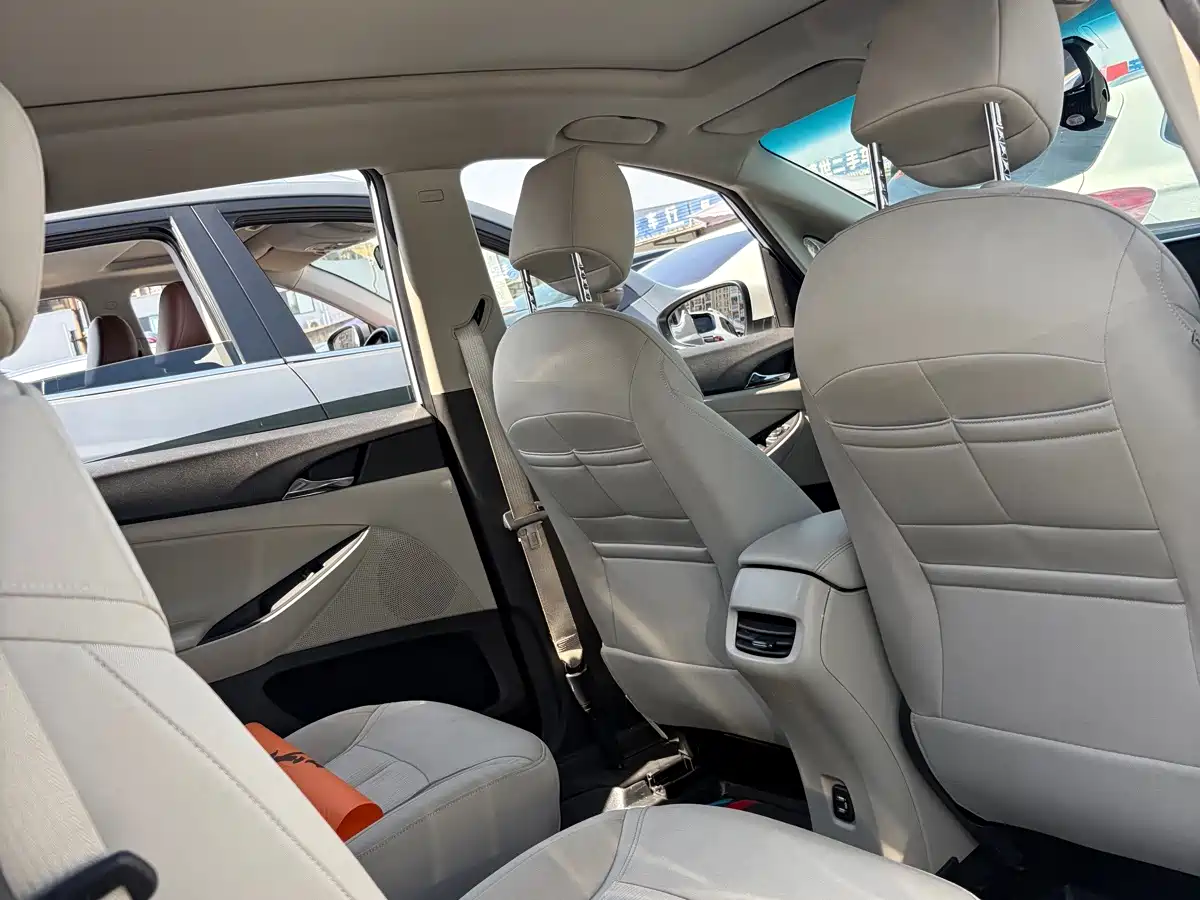 Фото 5 - Buick GL6