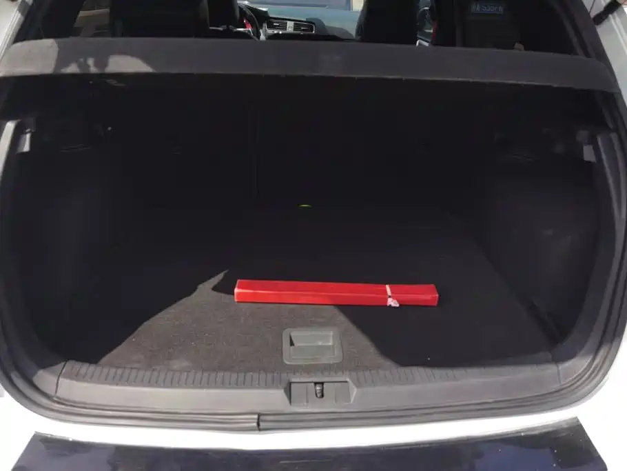 Volkswagen Golf GTI 2016 2016 2.0TSI GTI