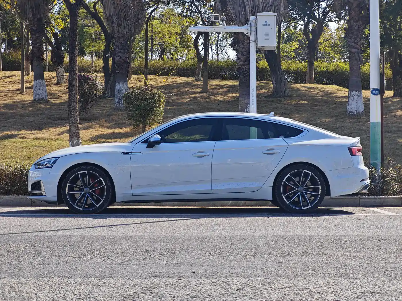 Audi S5 2017 S5 3.0T Sportback фото 10