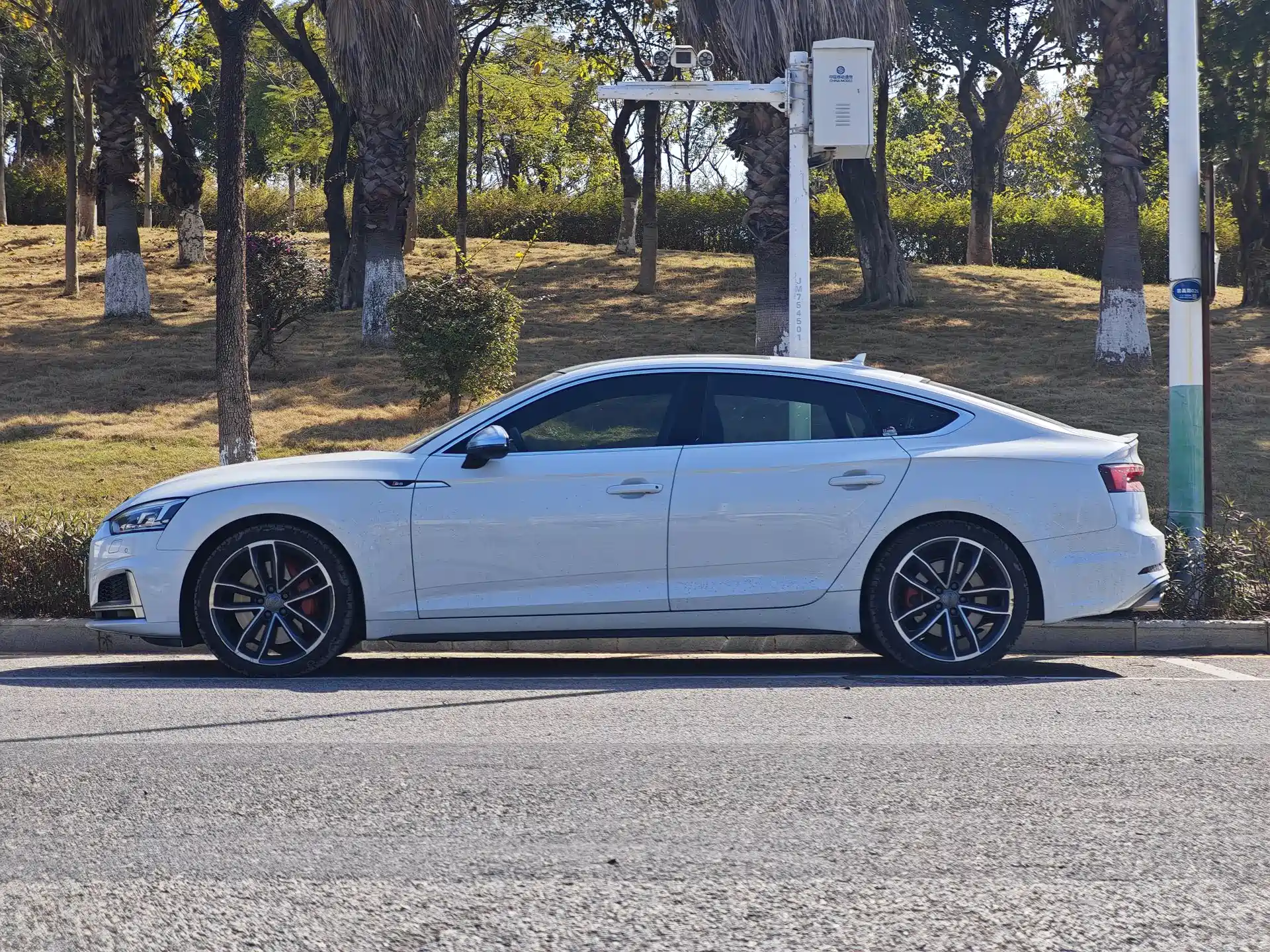 Фото 10 - Audi S5