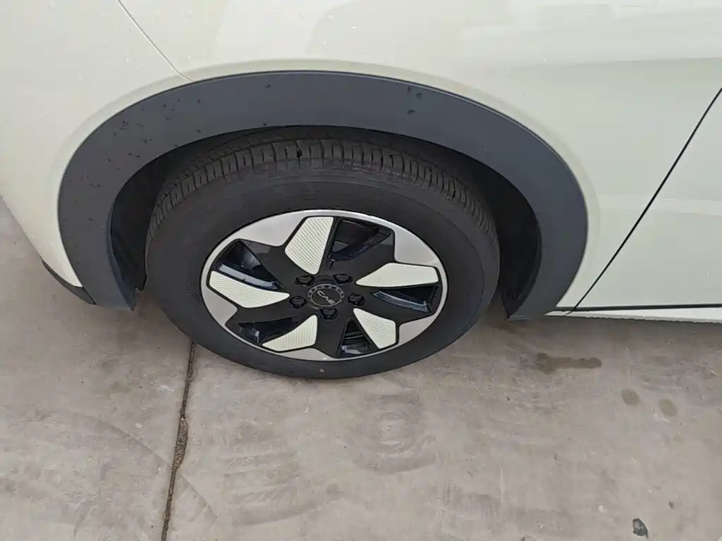 BYD Dolphin 2026 2025 420km Freedom Edition