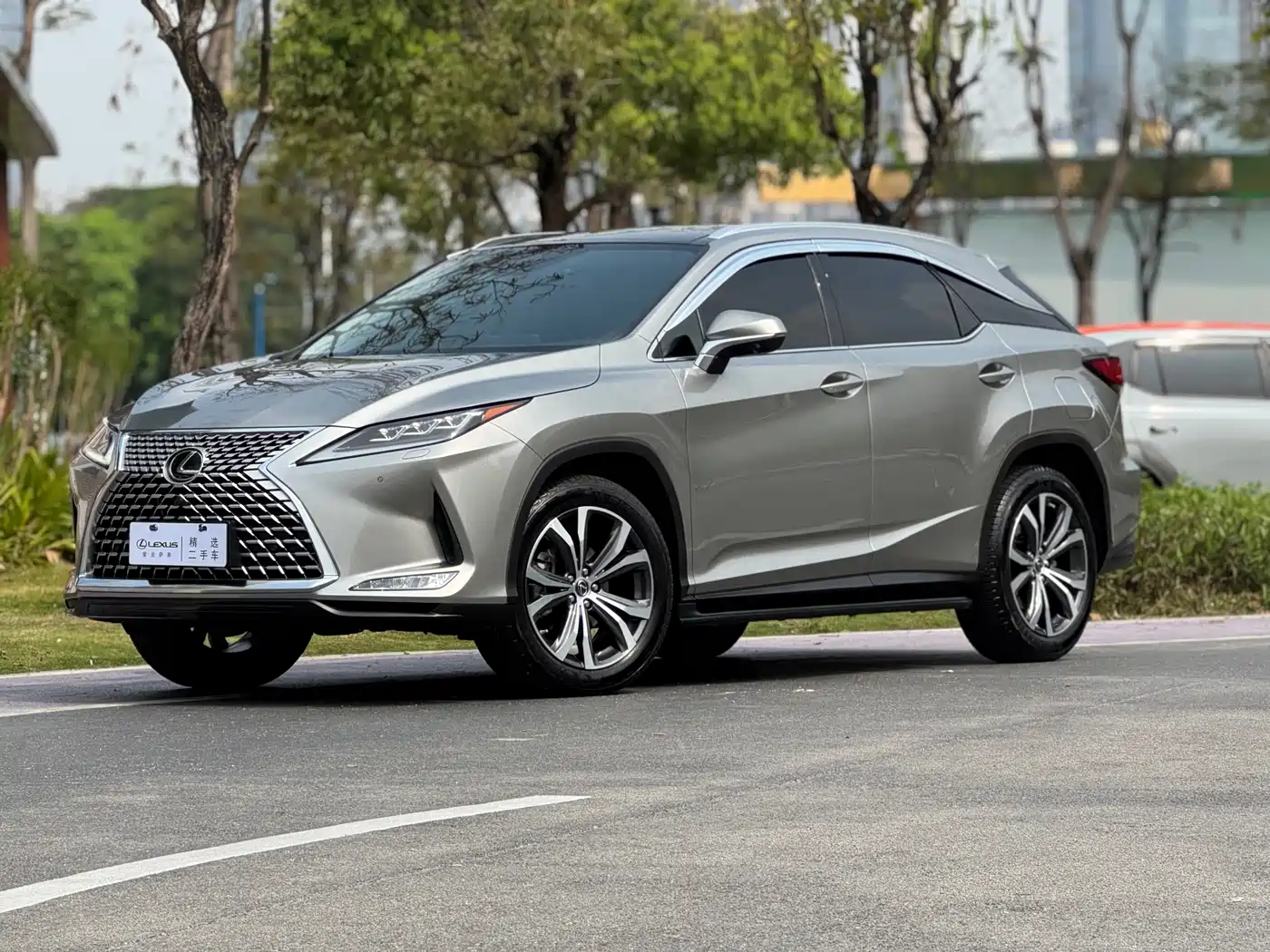 LEXUS RX