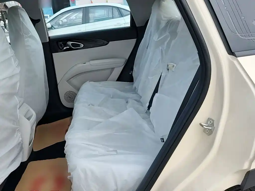Geely Galaxy Starry Wish 2026 2026 Edition 310km Youth Version