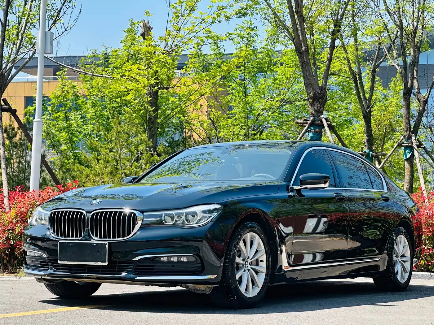 BMW 7 Series 2016 730Li Leading
