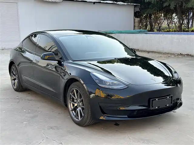 Tesla Model 3 2022 Model Rear-Wheel Drive Version