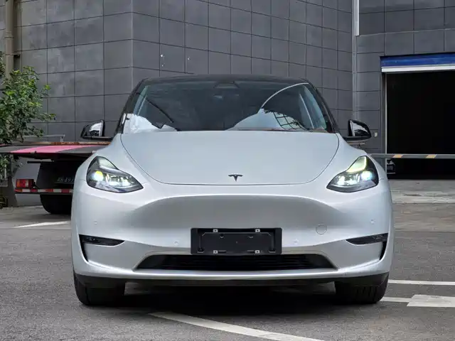 Tesla Model Y 2021 Standard Range Rear-Wheel Drive — фото 2