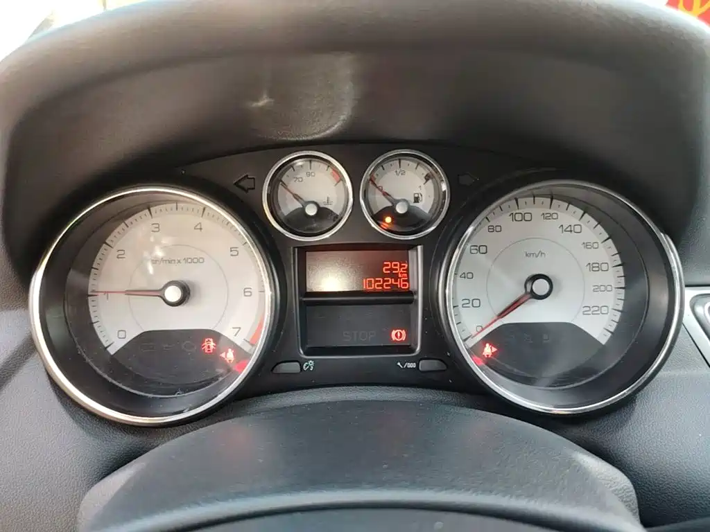 صورة 12 - Peugeot 308