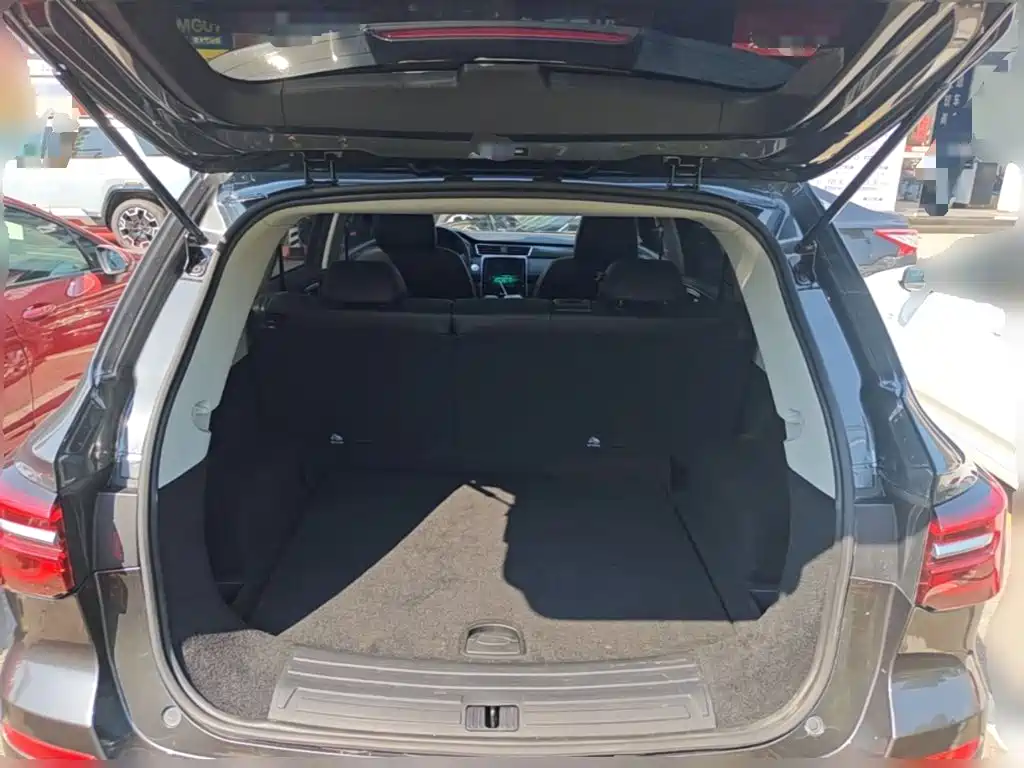 Фото 24 - Roewe RX5