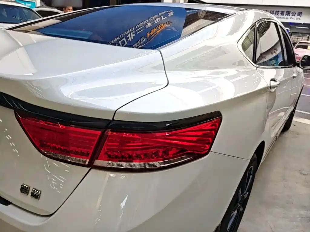 Фото 8 - Geely Borui