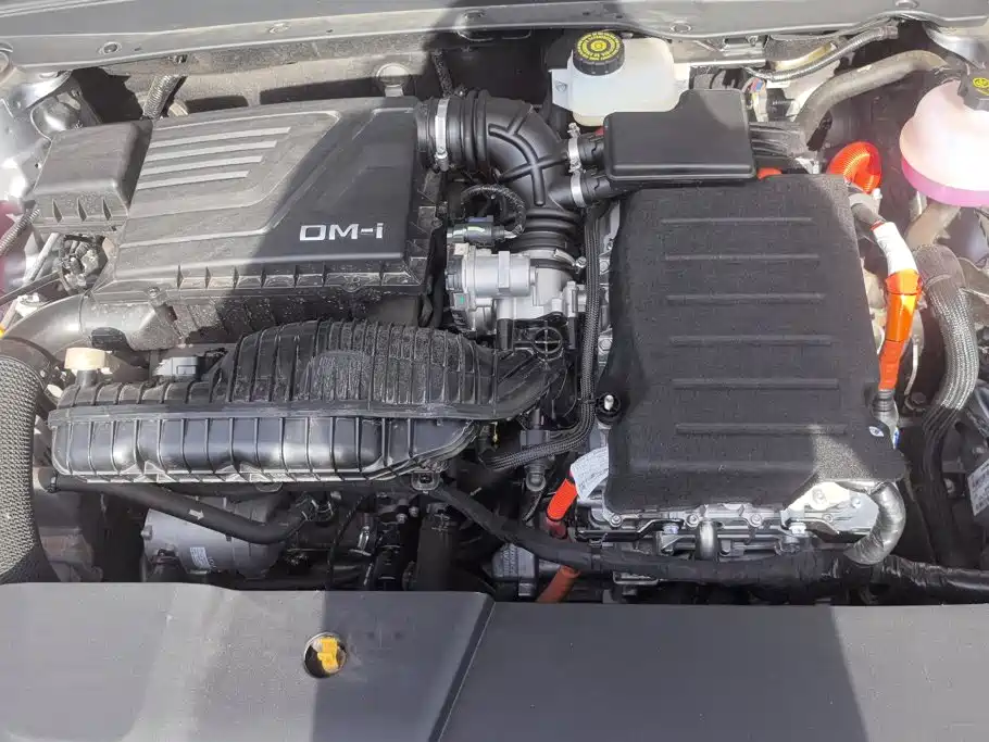 BYD Destroyer 05 2025 2024 Glory Edition DM-i 55KM Luxury