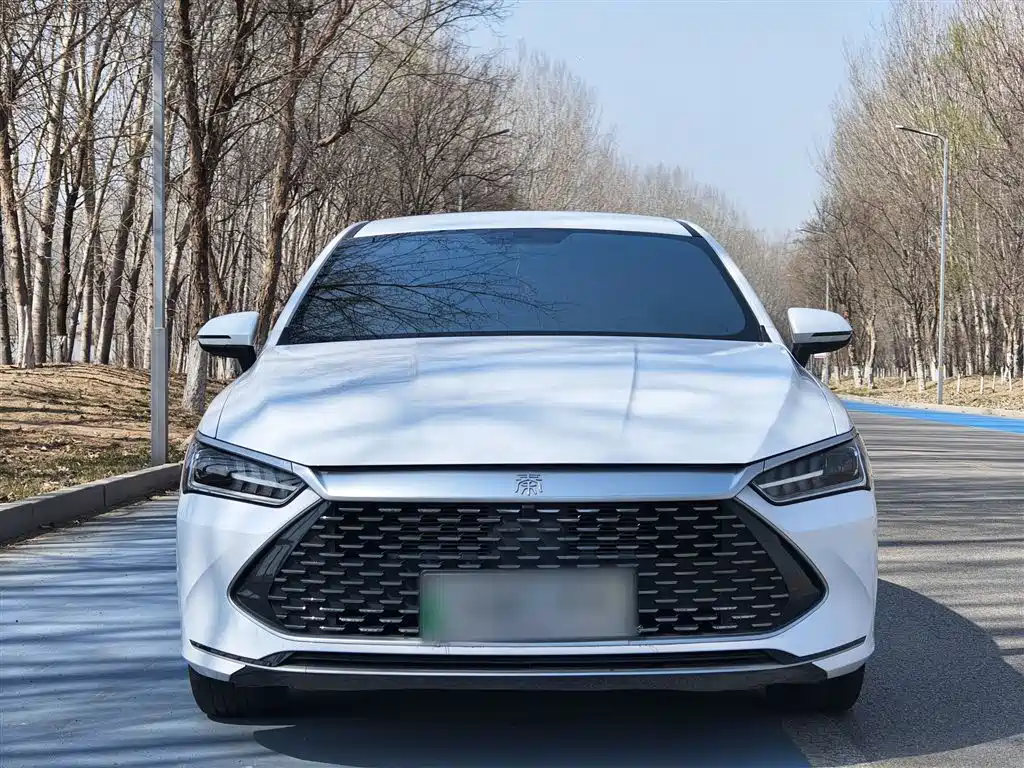 BYD Qin PLUS 2024 Glory Edition DM-i 55KM Leading фото 18
