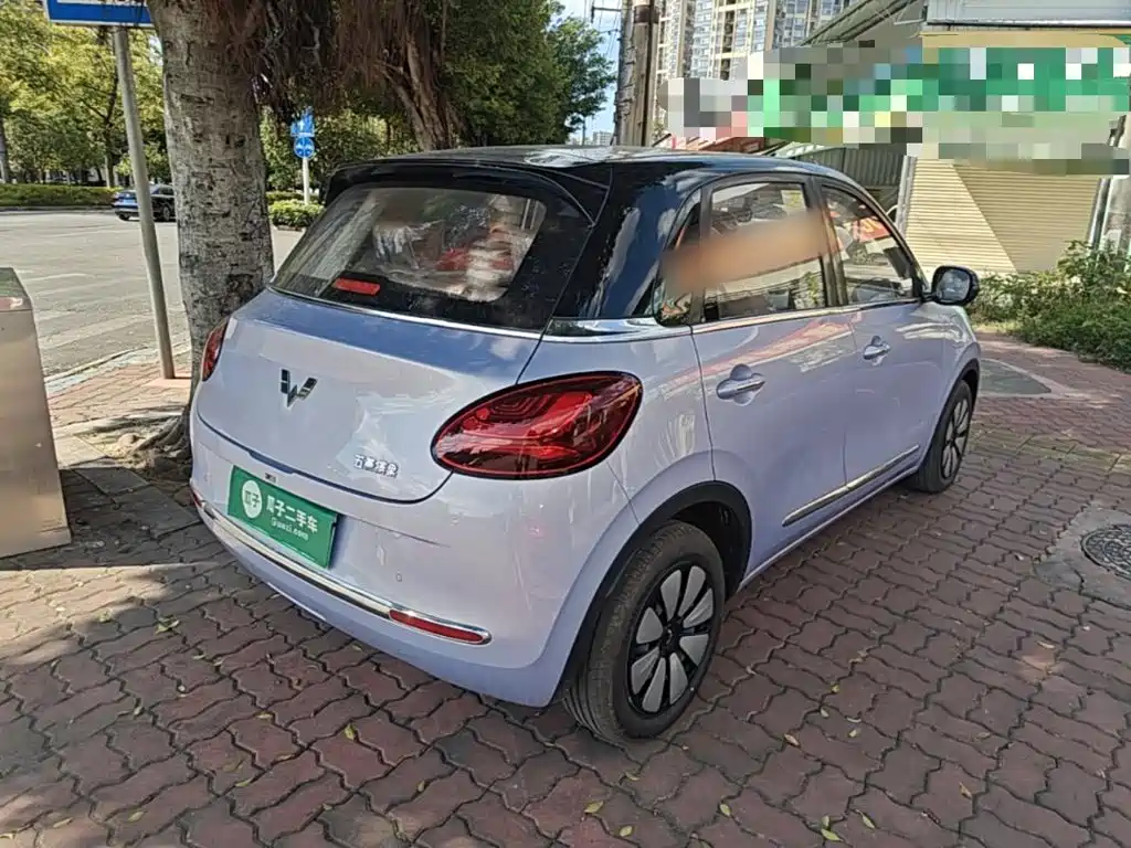 Wuling Motors Wuling Bingo 2026 2025 Model 333km Smart Premium
