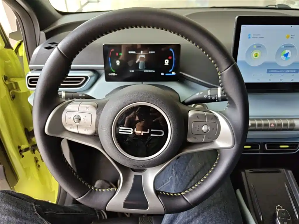 BYD Seagull 2024 Glory Edition 305km Vitality Edition фото 11