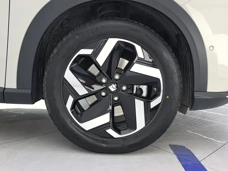 Baojun Yunhai 2025 2024 600km Pure Electric Version
