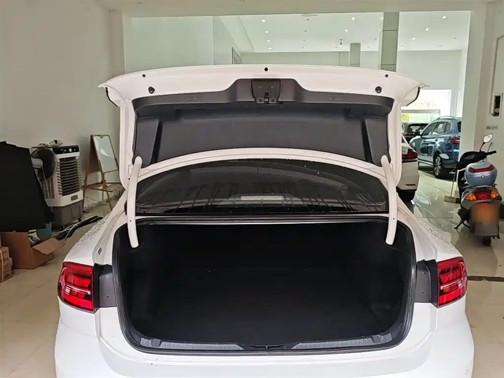 Volkswagen Lamando 2019 280TSI DSG Luxury Edition China VI фото 18