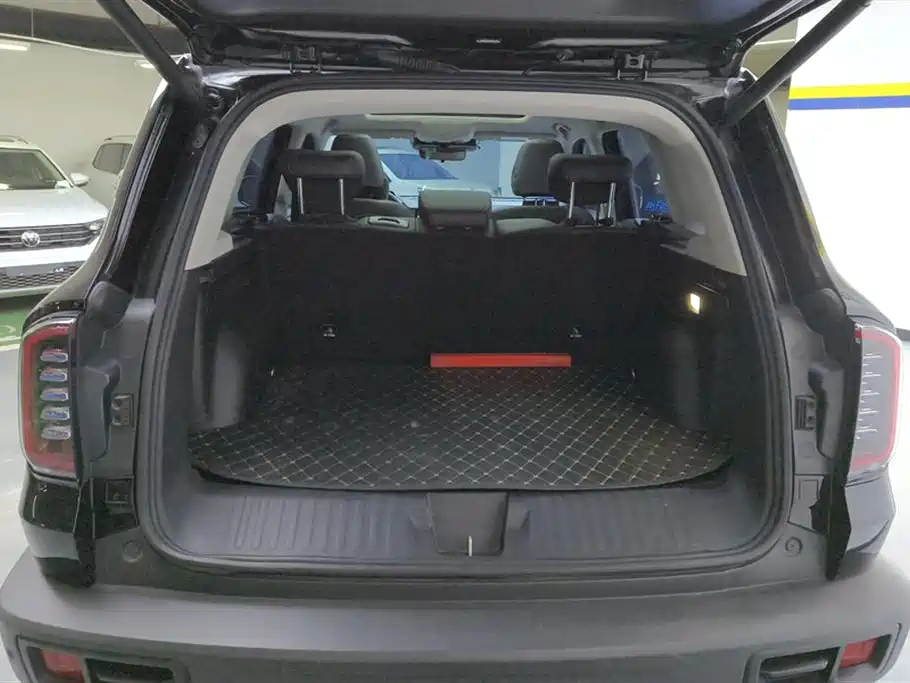 Haval Big Dog 2024 1.5T DCT Border Collie Edition фото 4