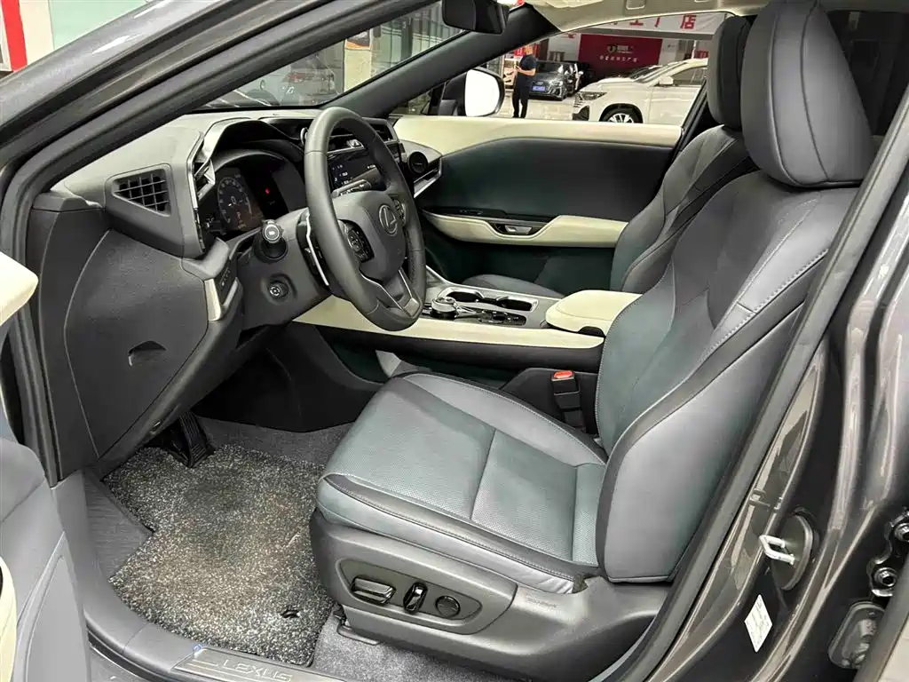 Lexus RZ 2023 450e 4WD Deluxe фото 11
