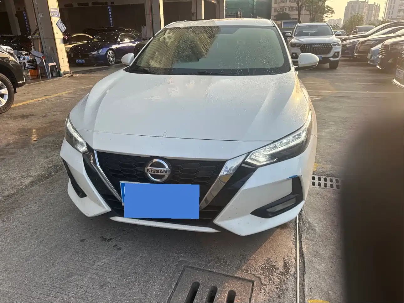Фото 1 - Nissan Sylphy