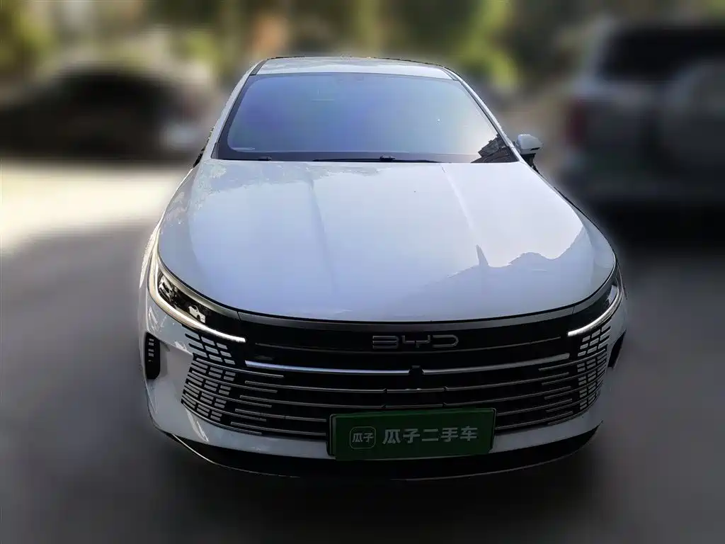 BYD Destroyer 05 2024 Glory Edition DM-i 55KM Luxury