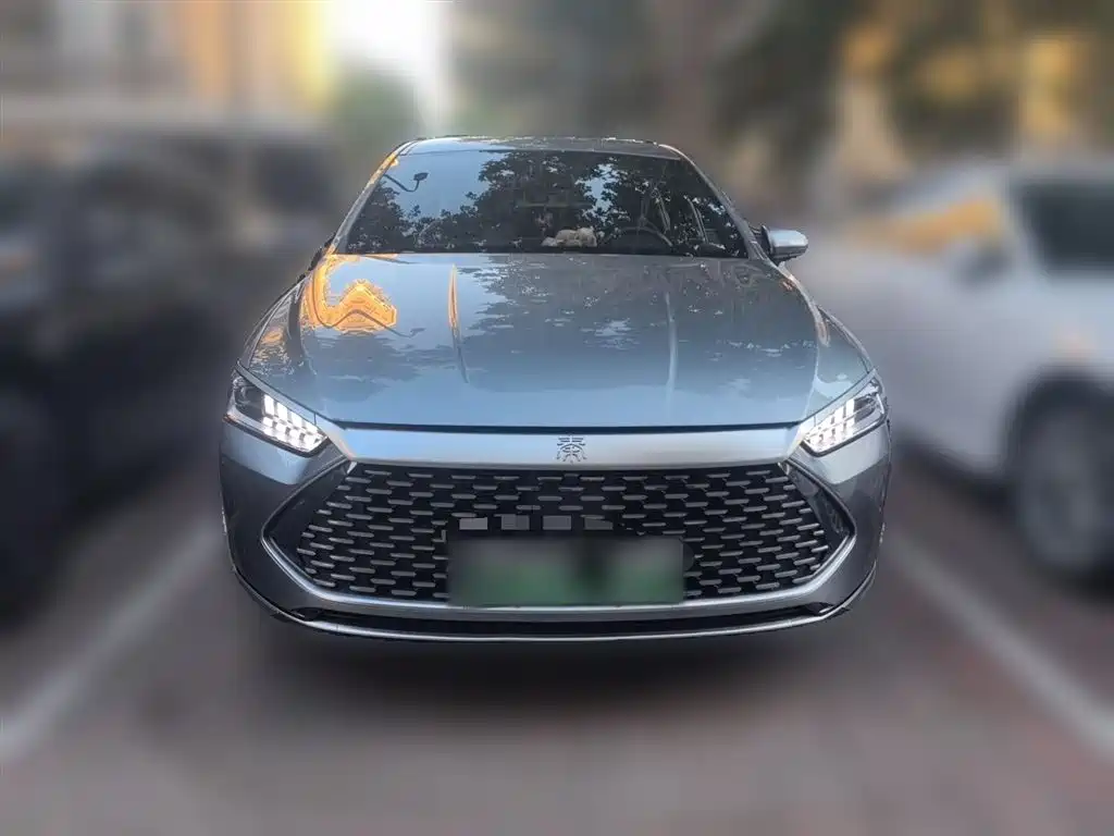 BYD Qin PLUS 2024 Glory Edition DM-i 55KM Leading фото 2