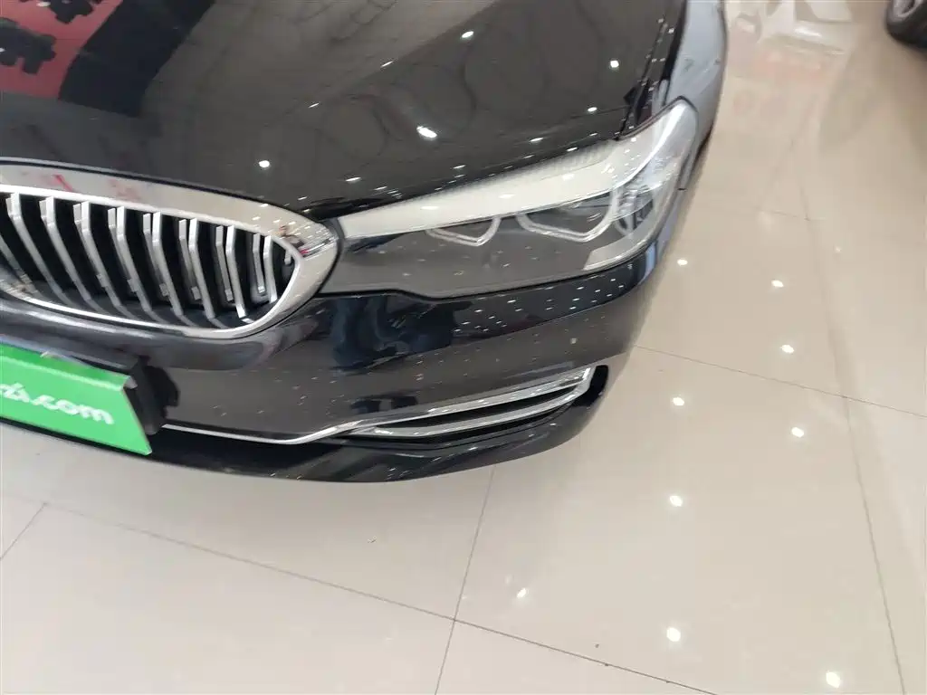 BMW 5 Series 2019 530Li xDrive Luxury Package фото 18