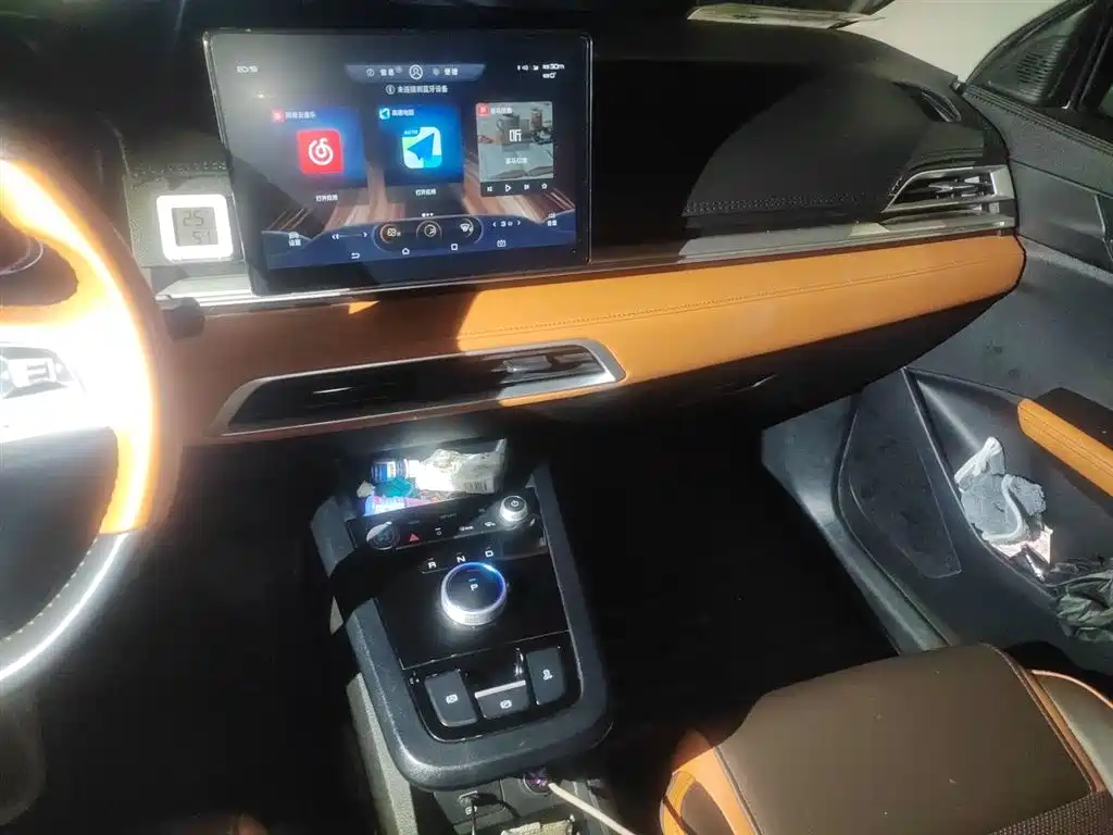 BYD e2 2021 Luxury Edition фото 9