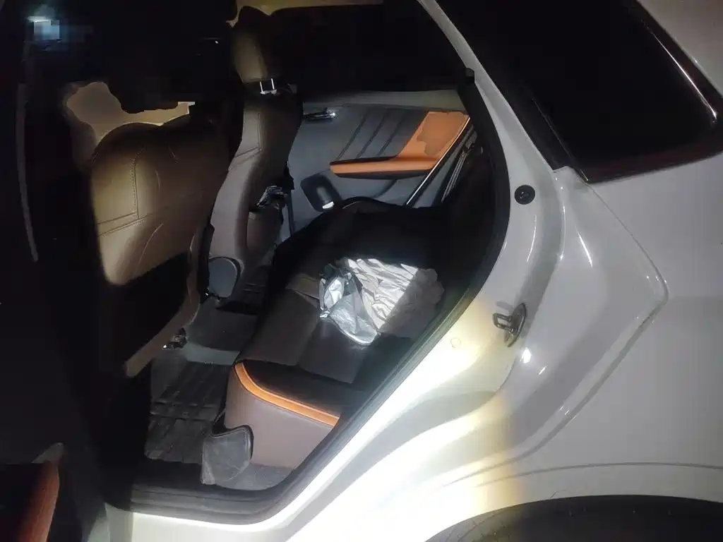 BYD e2 2021 Luxury Edition фото 13