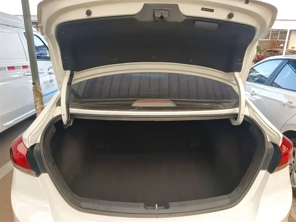 HYUNDAI LEAD