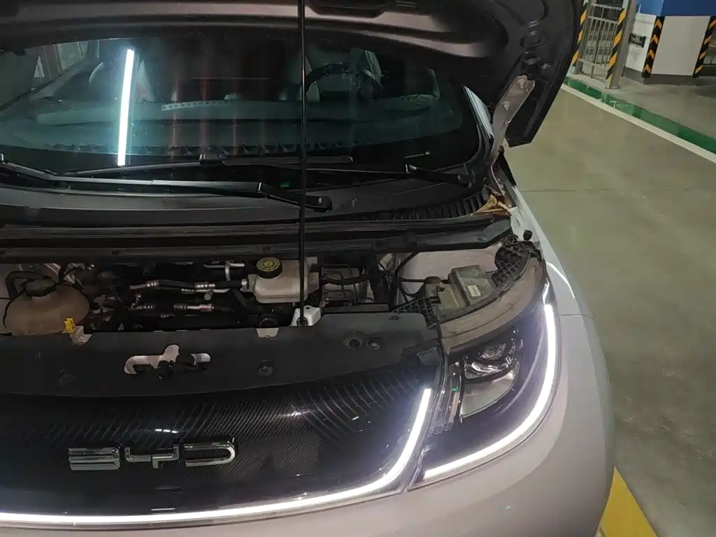 BYD Dolphin 2021 Model 405km Fashion Edition фото 23