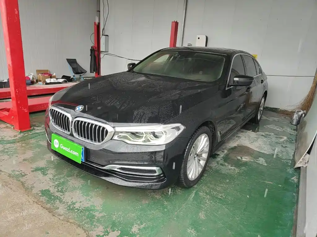 BMW 5 Series 2020 530Li Premium Luxury Package
