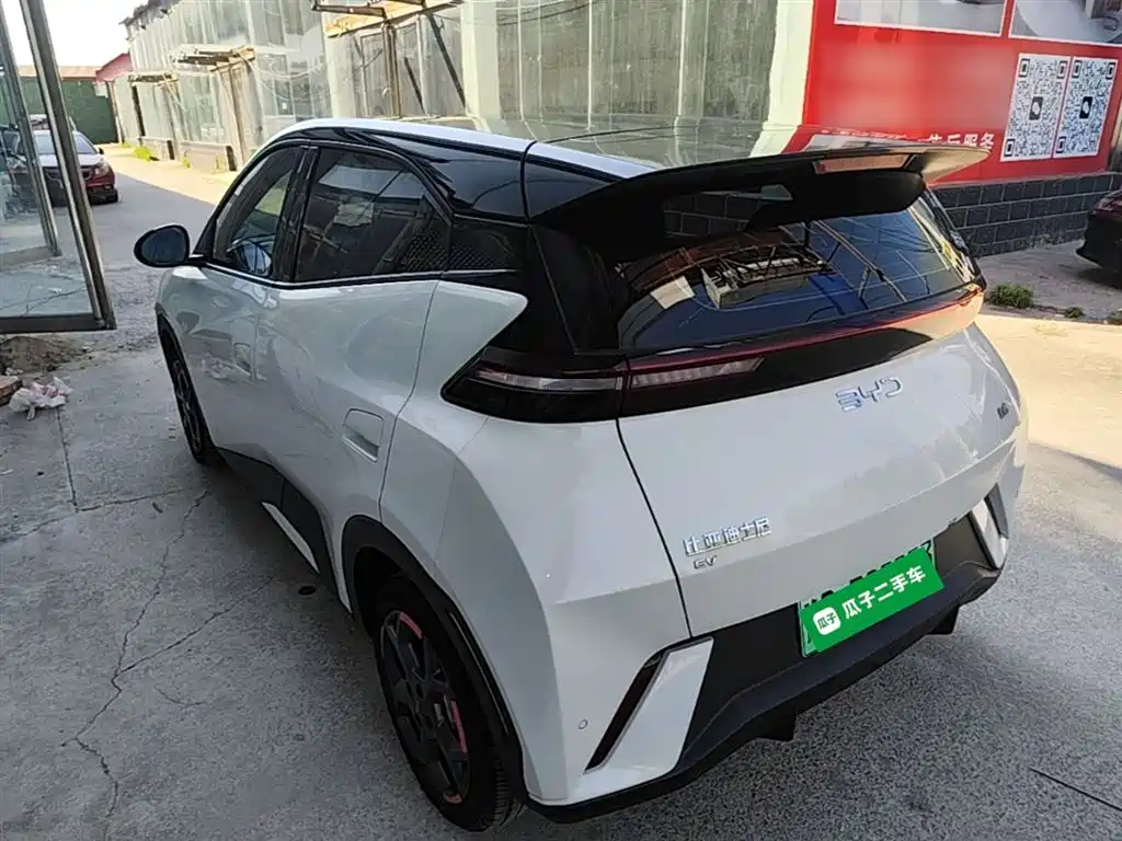 BYD Seagull 2024 Glory Edition 305km Freedom Edition фото 23