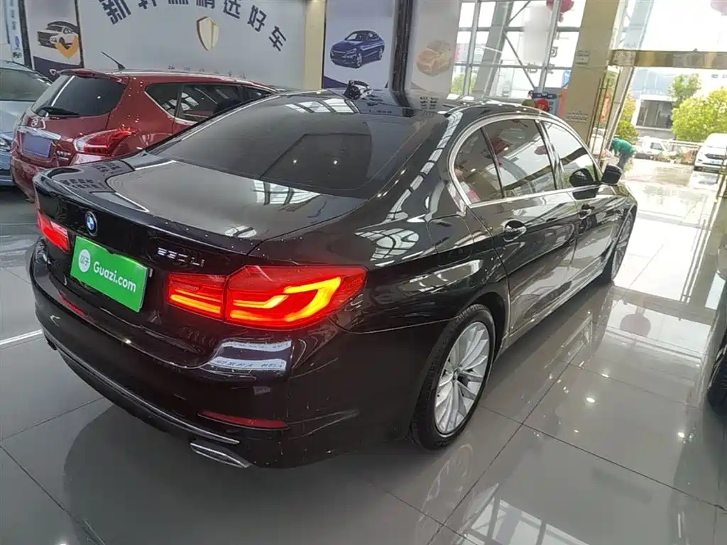 BMW 5 Series 2019 Facelift 530Li Premium Luxury Package фото 7