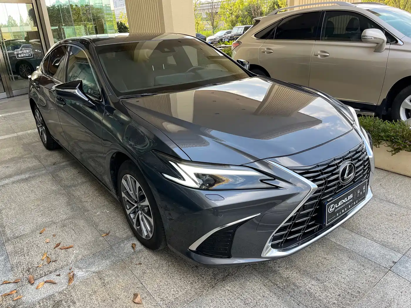 Фото 3 - Lexus ES