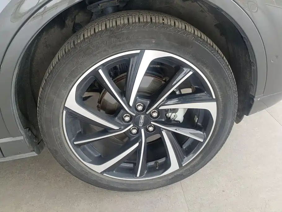 Lincoln Corsair 2024 2023 2.0T 4WD Zunyao Edition