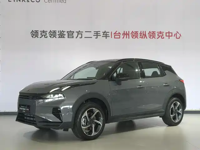 lynk 06