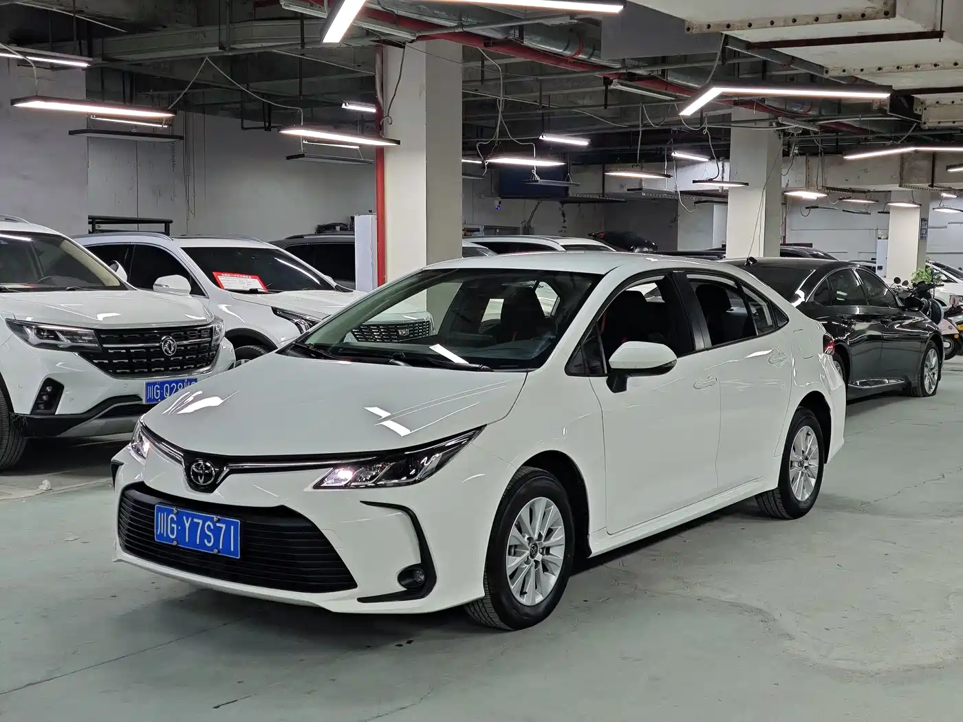 Toyota Corolla 2024 2023 1.2T Pioneer Edition