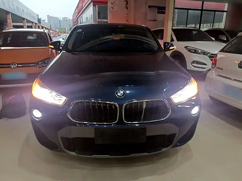 BMW X2 (Import) 2019 2019 sDrive20i M Off-Road Package China VI