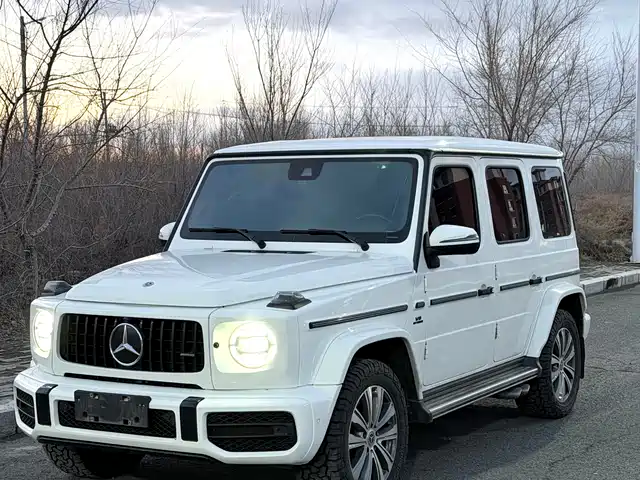 MERCEDES-BENZ G CLASS
