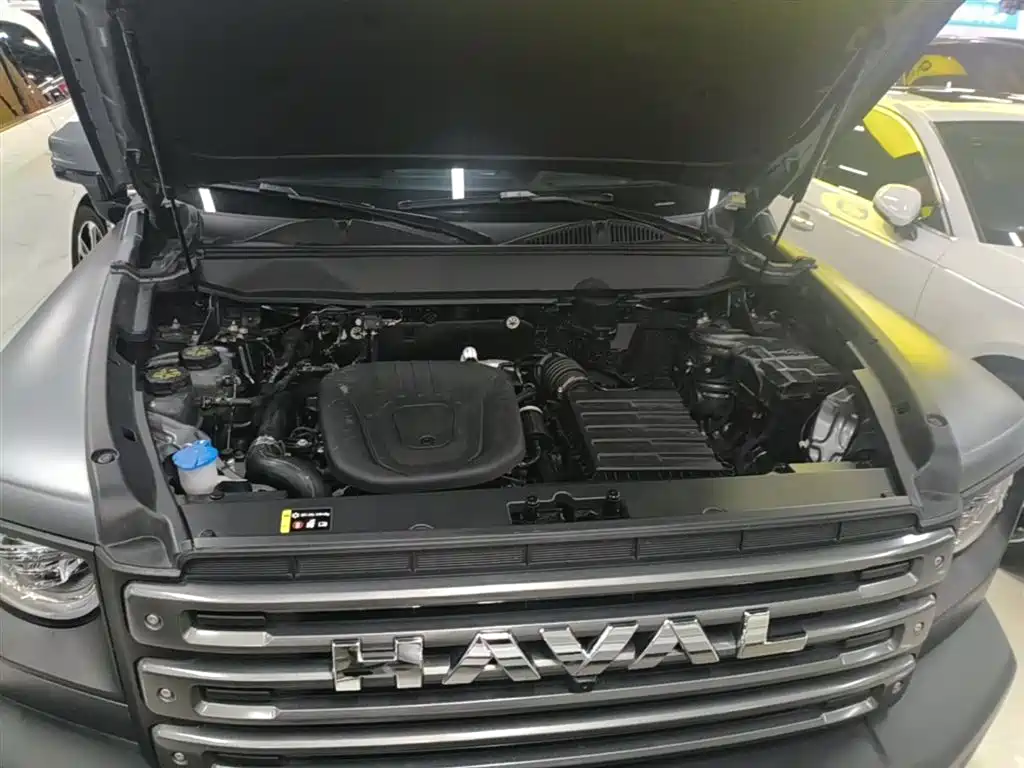 Haval Meng Long NEV 2024 Hi4 145 Cross-country Edition фото 20