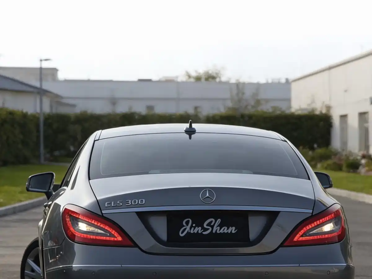 Mercedes-Benz CLS 2012 CLS 300 CGI фото 2