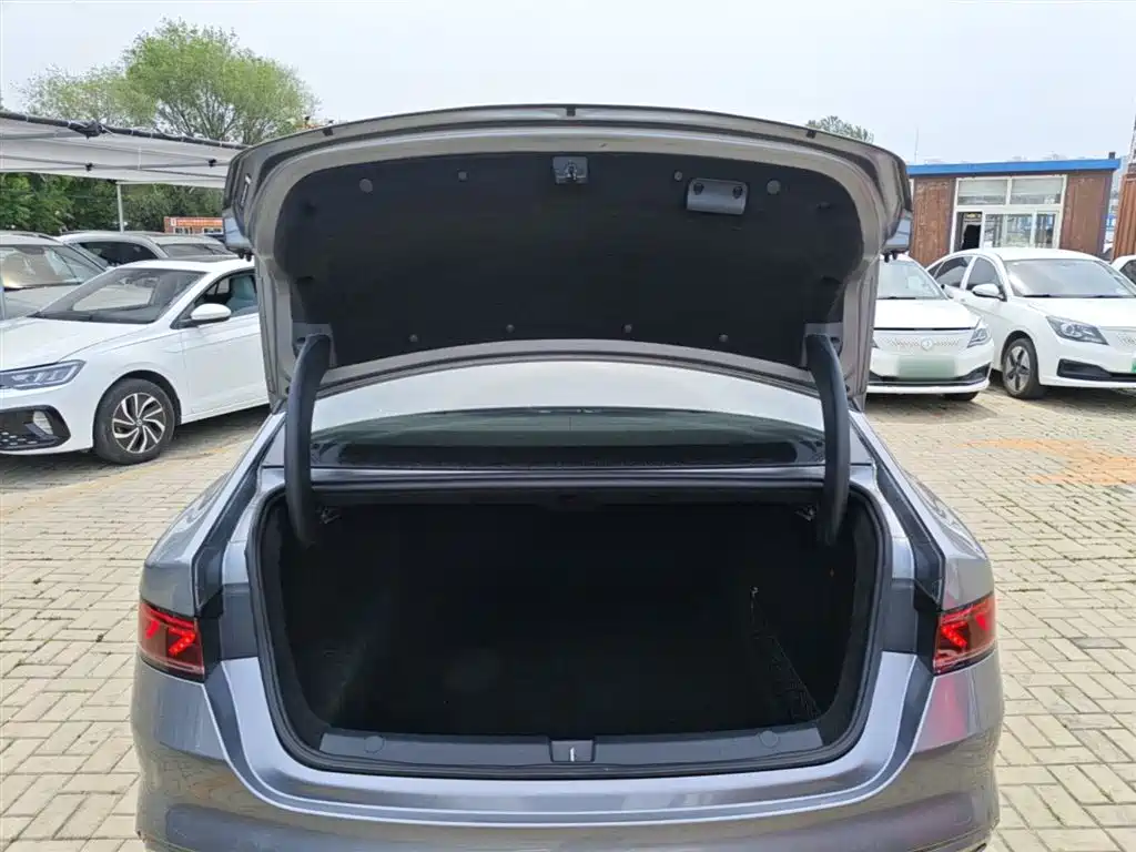 BYD Qin PLUS 2021 DM-i 120KM Premium фото 19